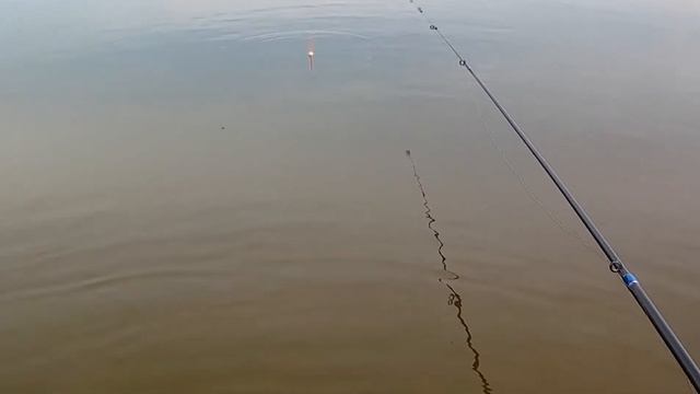 Ловим карася с резиновой лодки смотреть онлайн