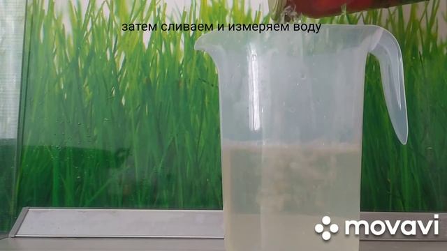 Помидоры черри?рецепт без уксуса ? смотреть онлайн