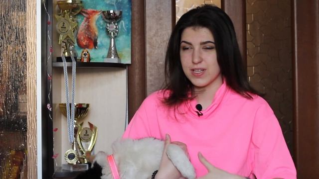 Мое первое мнение о бордер колли | Трудности с породой смотреть онлайн