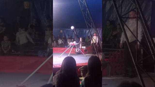 Акимовка. Цирк шапито смотреть онлайн