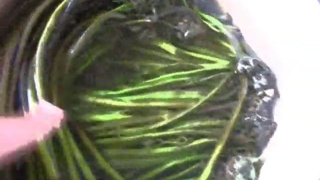 Заготовки зимой: простые рецепты