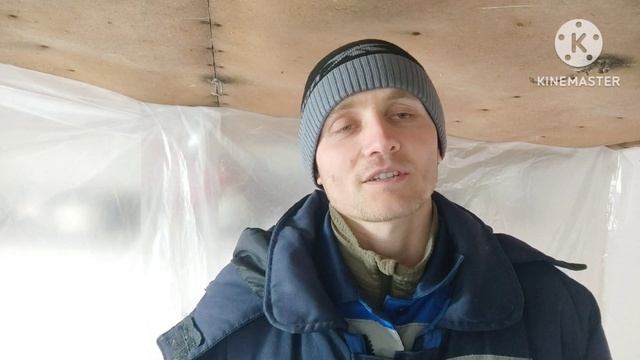 ? Фиолетовый лист на томате. Что делать?! ? смотреть онлайн