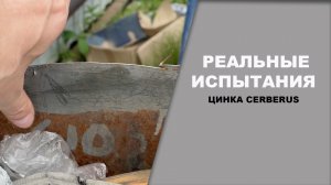 ДВА года и хоть бы что, реальные испытания, цинка cerberus.