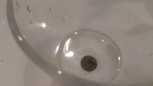 чистка монет ссср в домашних условиях.