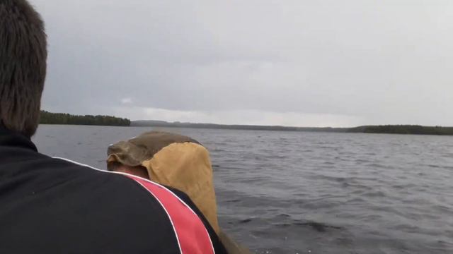 Карелия рабалка на остерозере