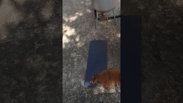 матирование стекла пескоструем смотреть онлайн