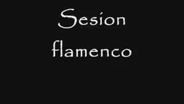 Sesion flamenco (Parte 1) смотреть онлайн