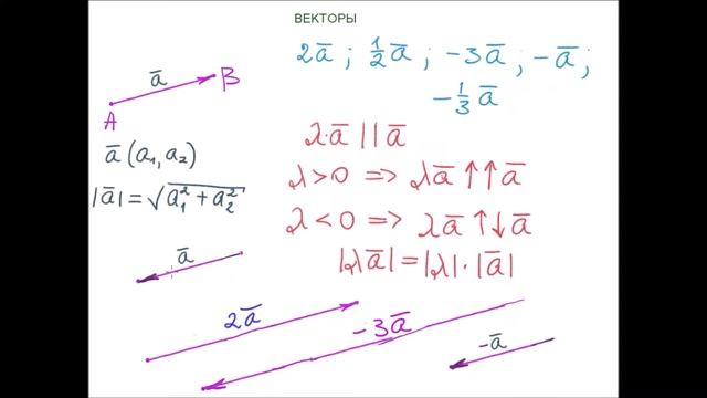 #векторы Обзор Vectors смотреть онлайн