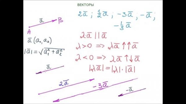 #векторы Обзор Vectors