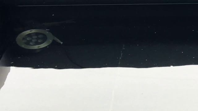 Yonsei University + Severance Hospital + Почта в Корее смотреть онлайн