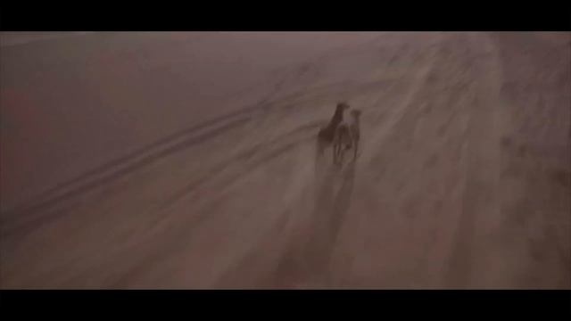 Porsche Taycan Cross Turismo | #Create2Extremes | Johnny FPV Footage