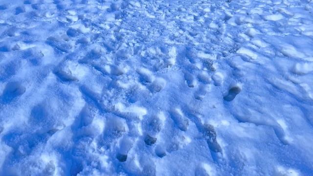 Oslo Norway ??- February 2022 - 4K-HDR Walking Tour - (▶91min) смотреть онлайн