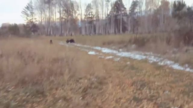 В свободное от тренировок время...))) смотреть онлайн