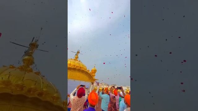 В честь Дня рождения Гуру Рам Дас в Золотом Храме Амритсар разбрасывали лепестки роз #йогатур смотреть онлайн