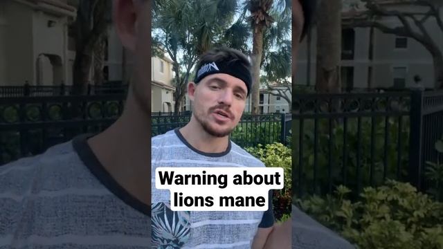 ￼￼lions mane warning смотреть онлайн