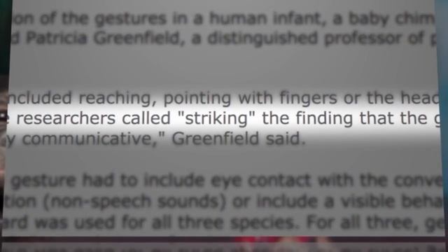 Ape and Human Babies Use the Same Gestures смотреть онлайн