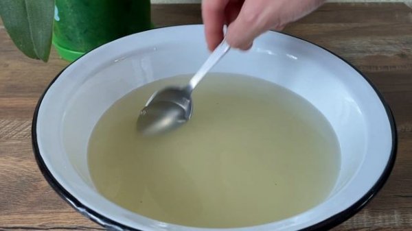 Alles was Sie brauchen ist Ingwer! Und die Orchideen blühen das ganze Jahr über ununterbrochen!