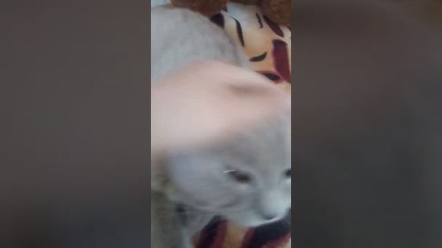 как я живу в городе серия 1! смотреть онлайн