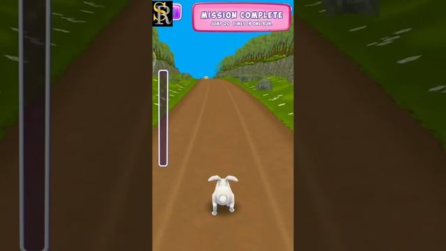 Pets Runner Game | #Shorts | Pet Run Short Video Game | @srgamer6048 смотреть онлайн