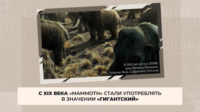 Русизмы или русские слова в английском языке смотреть онлайн