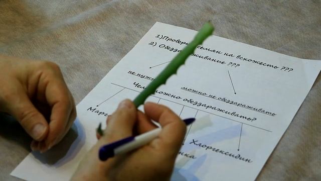 7 Обработка семян. А так ли необходимо стимулировать и обеззараживать семена смотреть онлайн