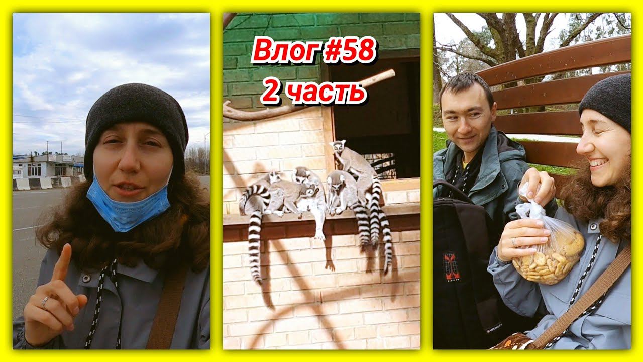 #58 Познакомились с лемурами и местной полициейДендропарк Батуми 2 часть! смотреть онлайн