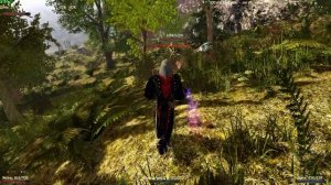 Готика 2 возвращение 2.0 Новый баланс прокачка Джины|Все плюсы и минусы|Новый пет(часть 1)