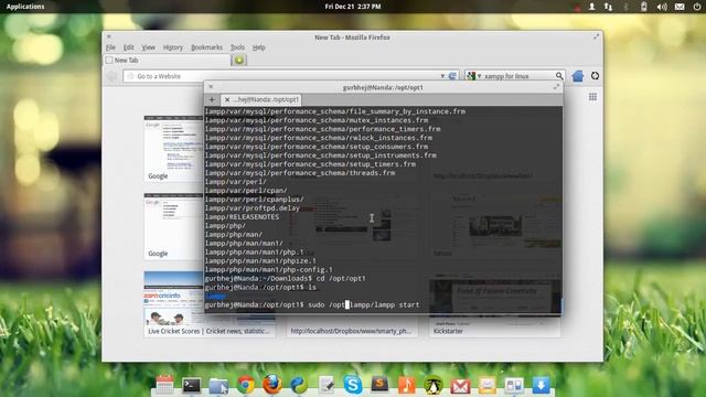 Install XAMPP on Linux/Ubuntu смотреть онлайн