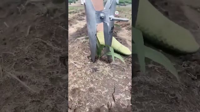 Топ для пересадки саженцев смотреть онлайн