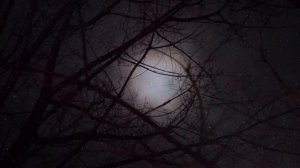 письмо солдата к Богу