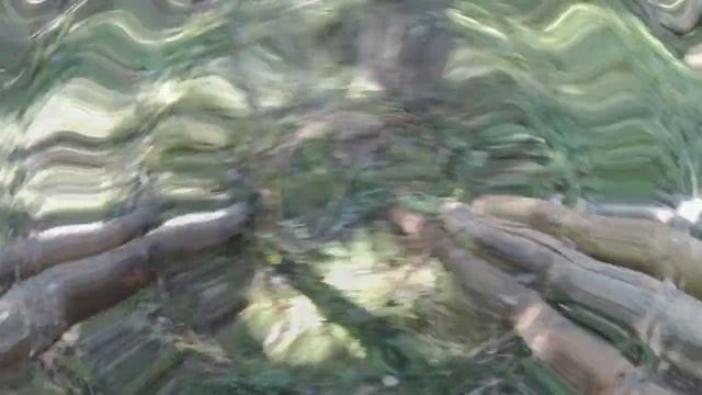 Укрытие для ночёвки в лесу. Лесной лагерь. Простой навес. смотреть онлайн