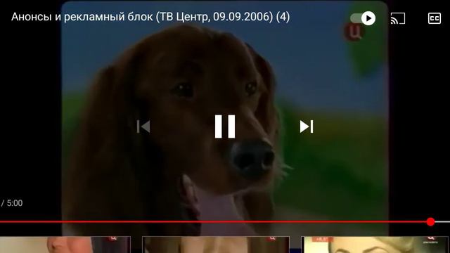 Реклама Чаппи Нам только косточки остались смотреть онлайн