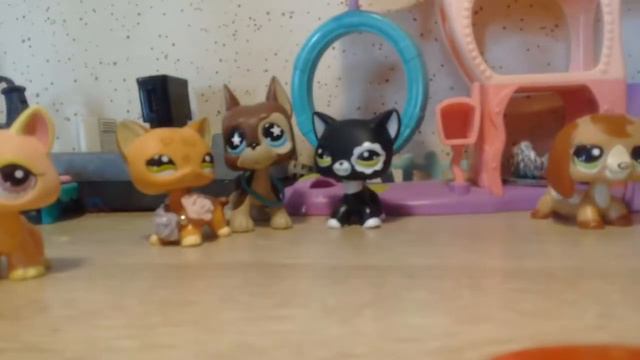 Лпс//Правда или действие//(ЧИТАЙТЕ ОПИСАНИЕ)