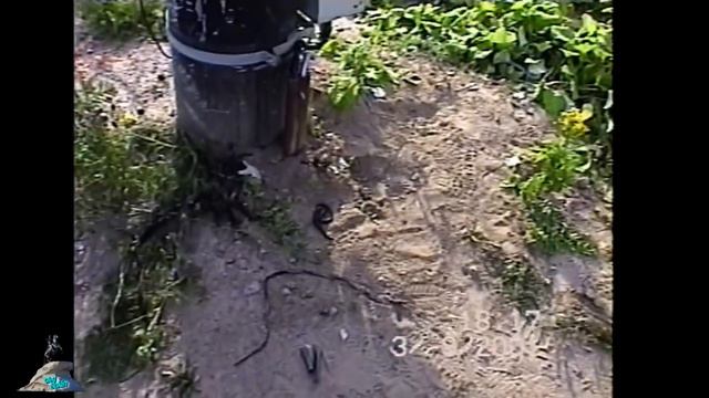 Борьба за жизнь смотреть онлайн