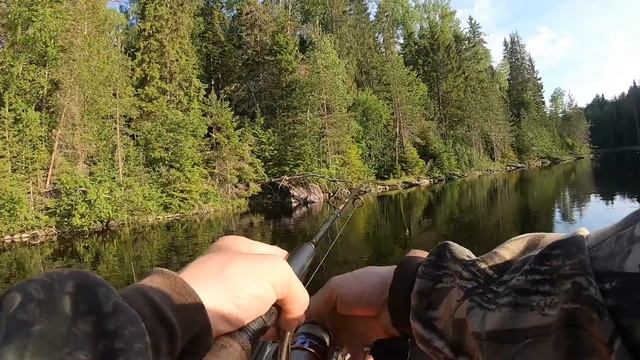 Рыбалка в Карелии на спиннинг и удочку . Лесное озеро смотреть онлайн