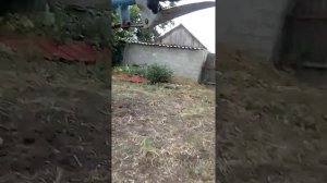 Мотоблок ,,Крот,,
