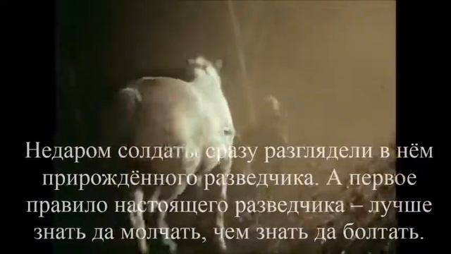 Буктрейлер по повести Сын полка смотреть онлайн