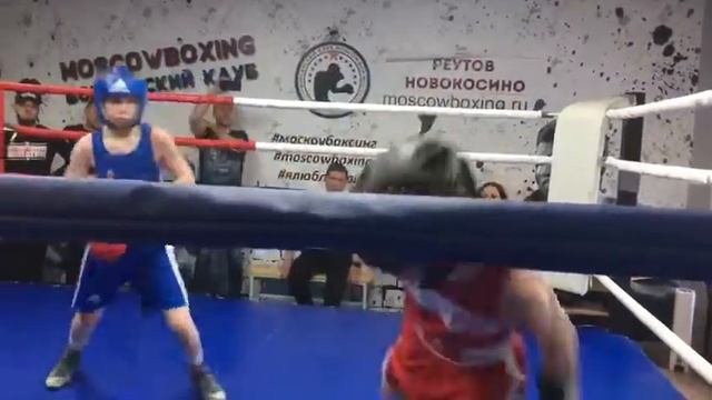Митрошин Вячеслав бокс 13 лет 37.6кг 21 бой 2 раунд смотреть онлайн