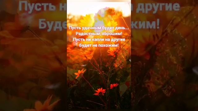 С ДОБРЫМ УТРОМ! Хорошего Дня! Красивая Музыкальная Открытка! Позитив! смотреть онлайн