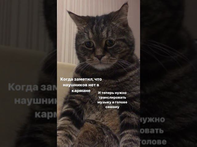 Жизненно? #shorts #headphones #music смотреть онлайн