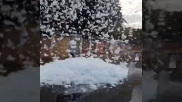 Пенные пушки для праздника Profi 450 lite Цена 94000 руб   https___pena-foam.ru_.mp4