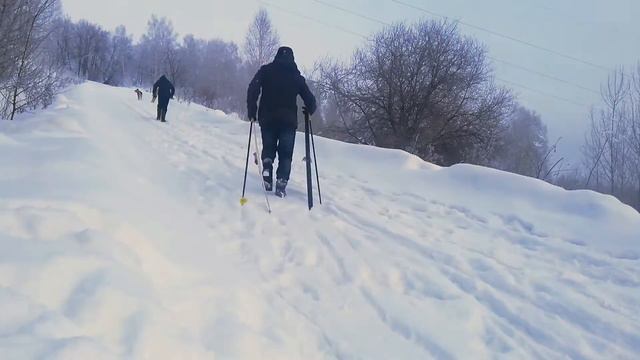 Спуск с горы на лыжах смотреть онлайн