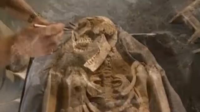 Джеймстаун история самой первой европейской колонии в Северной Америки смотреть онлайн