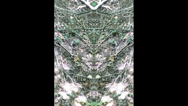 Порталы Миров. Порталы эфирных существ. Переплетения пространств и времени смотреть онлайн