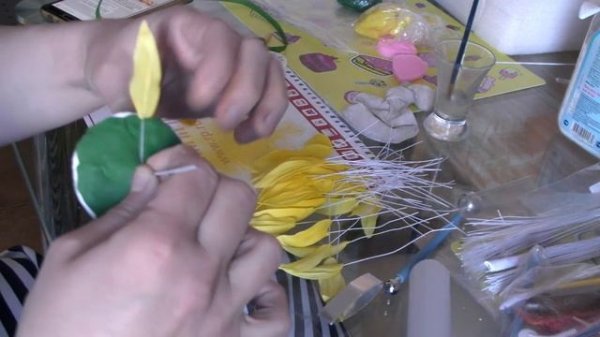 Сахарный подсолнух (Sugar sunflower)