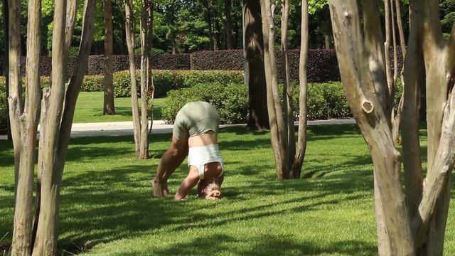 Видосики о Краснодаре.Японский сад.Миф и реальность. смотреть онлайн