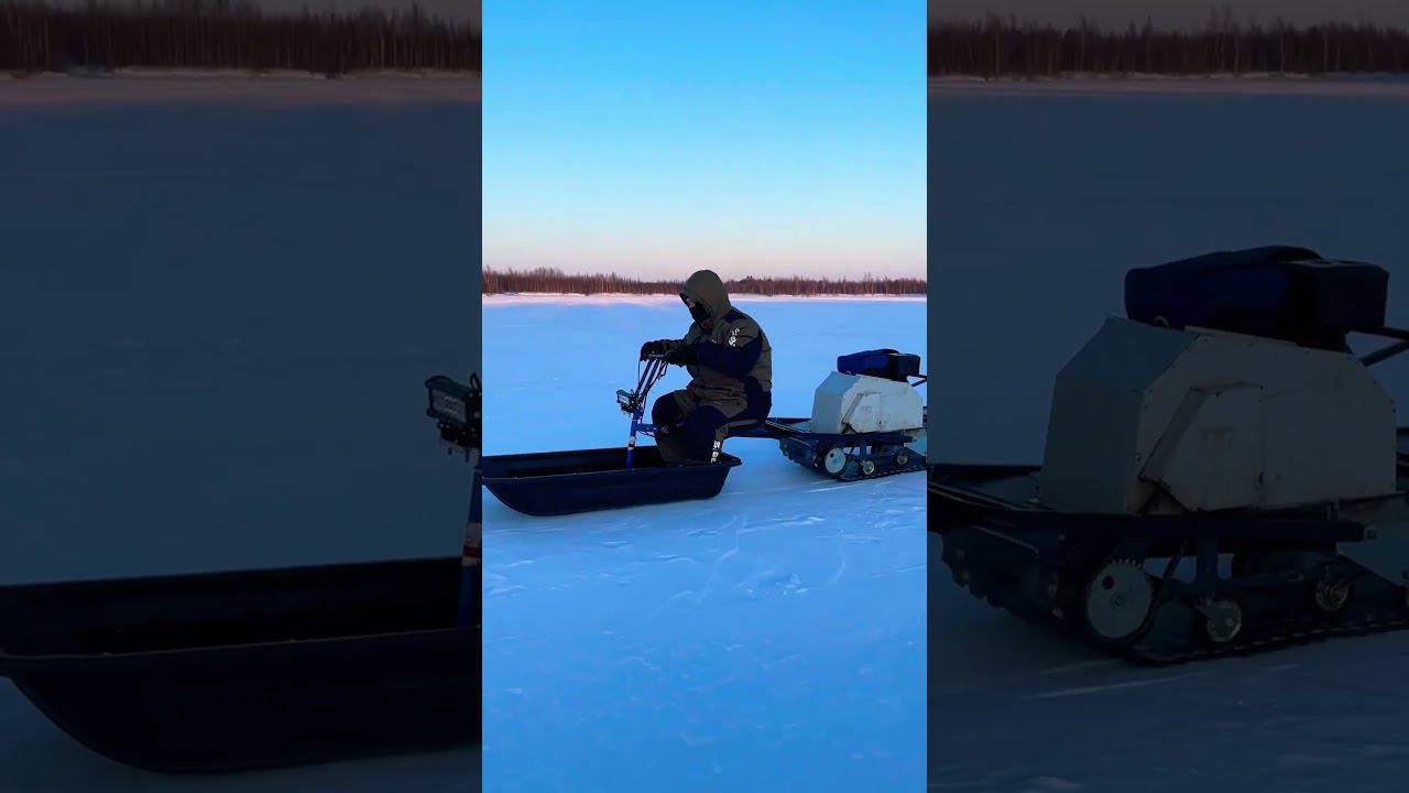 40км/ч это не предел для мотособаки #Shorts смотреть онлайн