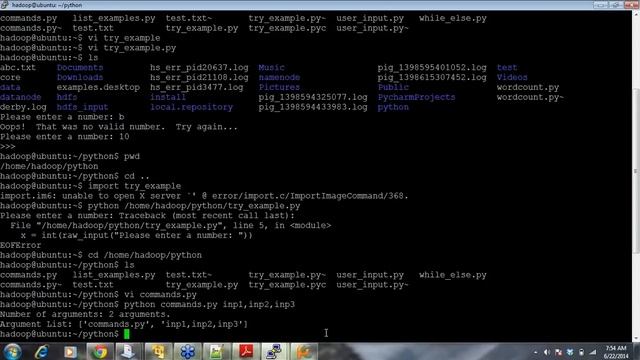 Introduction to Command Line Argument in Python | Edureka смотреть онлайн