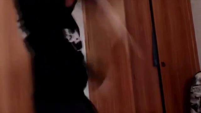 Pavlov Танцор - Павлов танцует под трек "Русская Рать" (По Рофлу братик!) смотреть онлайн