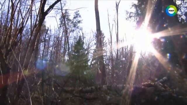 Магические Свойства Изумруда смотреть онлайн